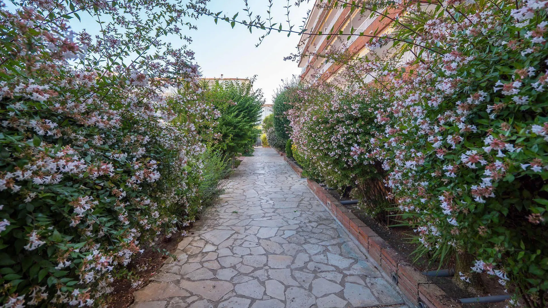 Europa - Lotus Apartment Blanes Spain